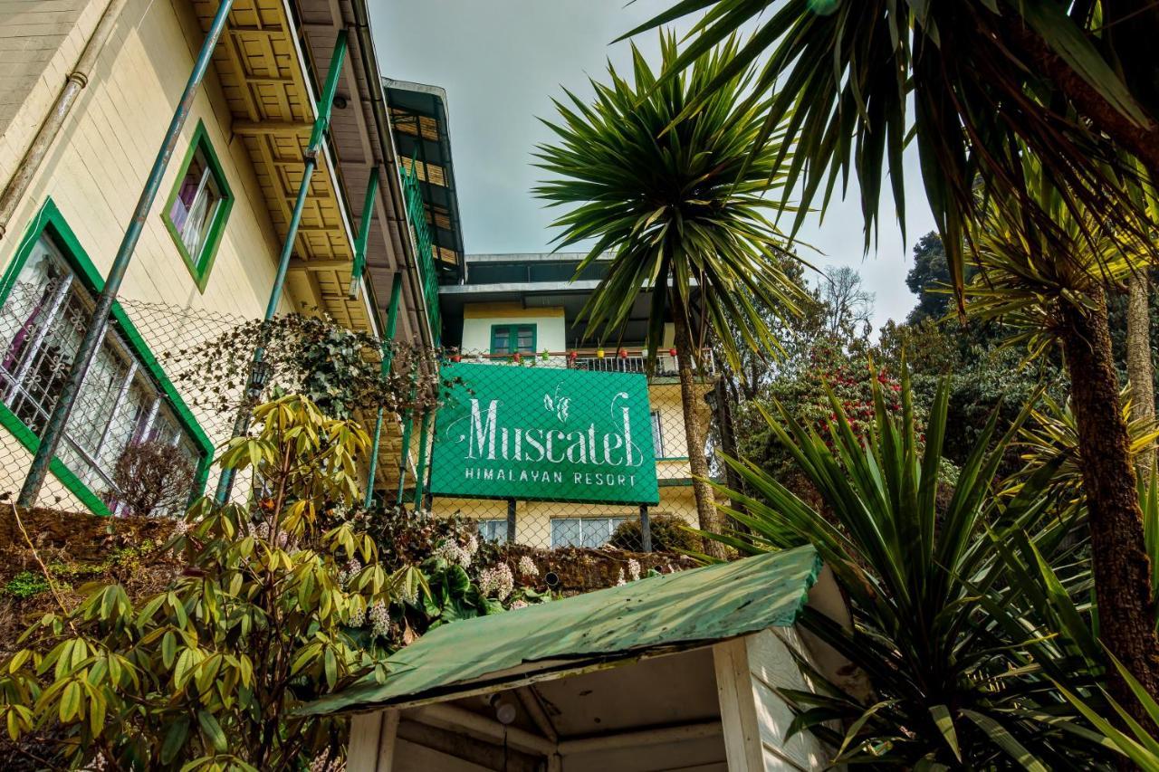 Muscatel Himalayan Resort - 400 Mts From Mall Road Νταρτζίλινγκ Εξωτερικό φωτογραφία
