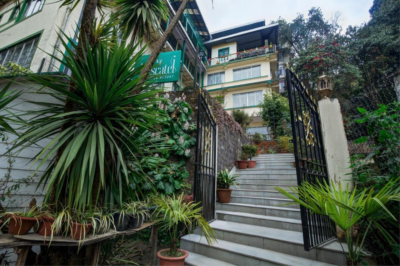 Muscatel Himalayan Resort - 400 Mts From Mall Road Νταρτζίλινγκ Εξωτερικό φωτογραφία