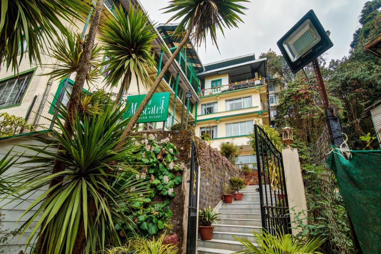 Muscatel Himalayan Resort - 400 Mts From Mall Road Νταρτζίλινγκ Εξωτερικό φωτογραφία